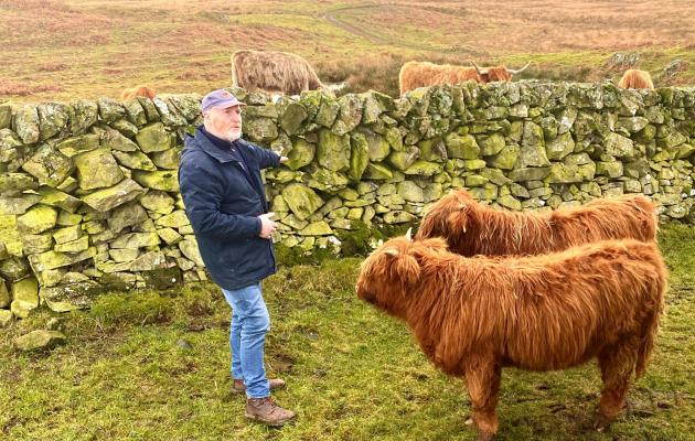 Neale talking about the drystane walls