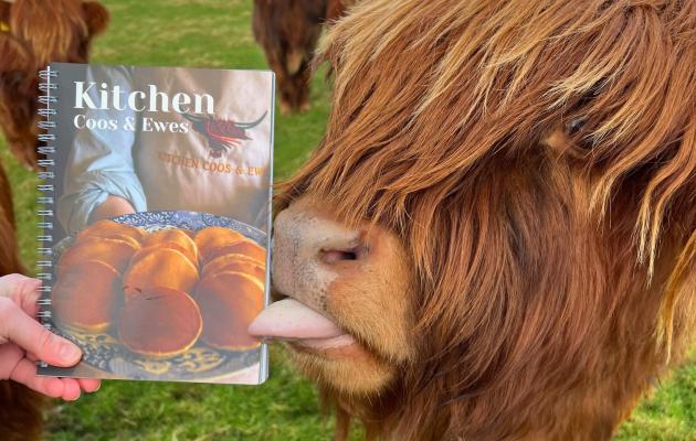 Highland coo licking recipe book