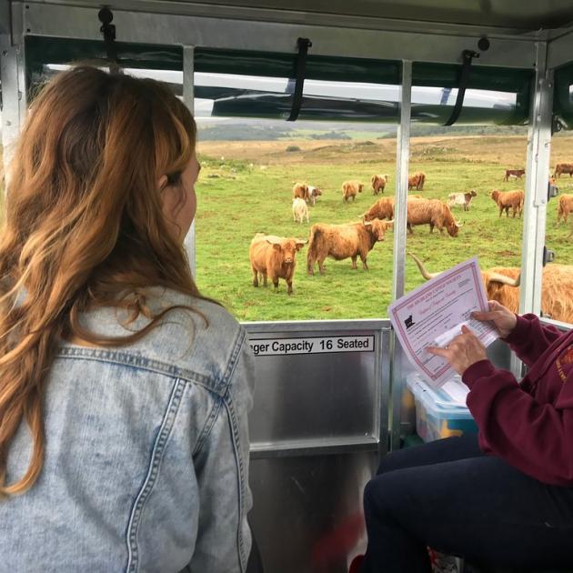 See the coos