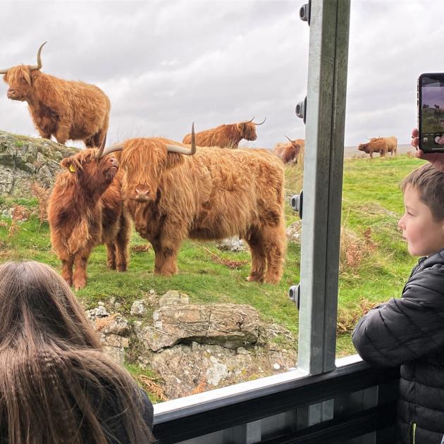 kids looking out